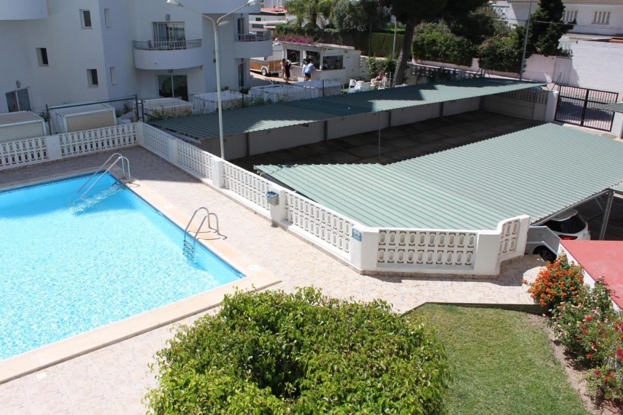 Flamingo Solo Familias Serviplaya Playa de Gandia Exterior foto