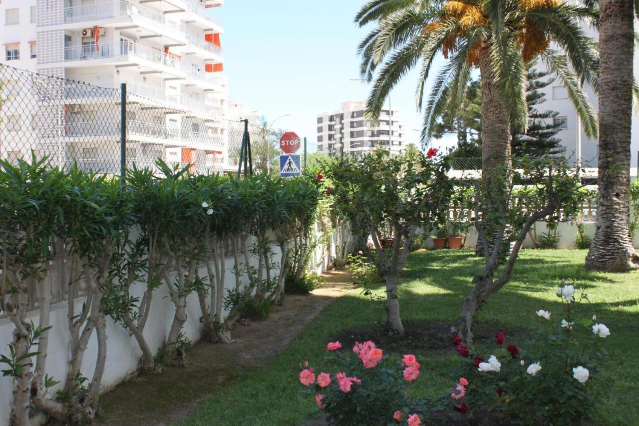 Flamingo Solo Familias Serviplaya Playa de Gandia Exterior foto